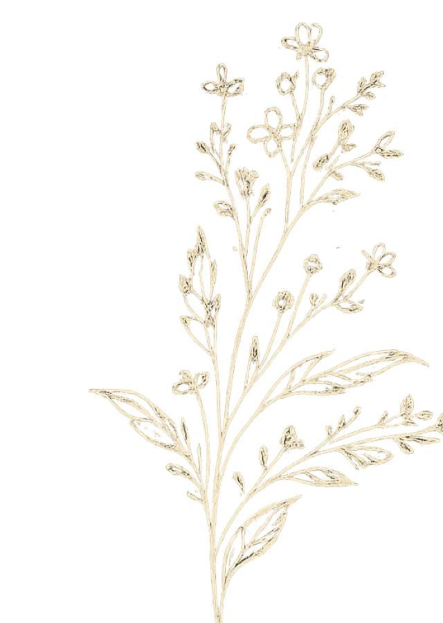 floral_left_transparent