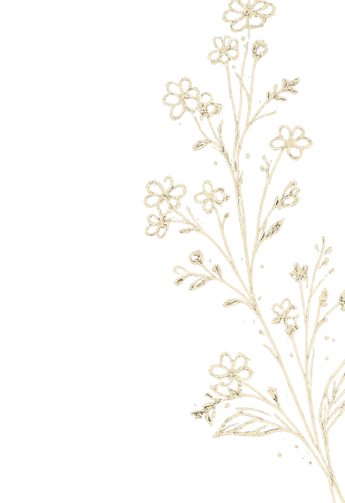 floral_right_transparent